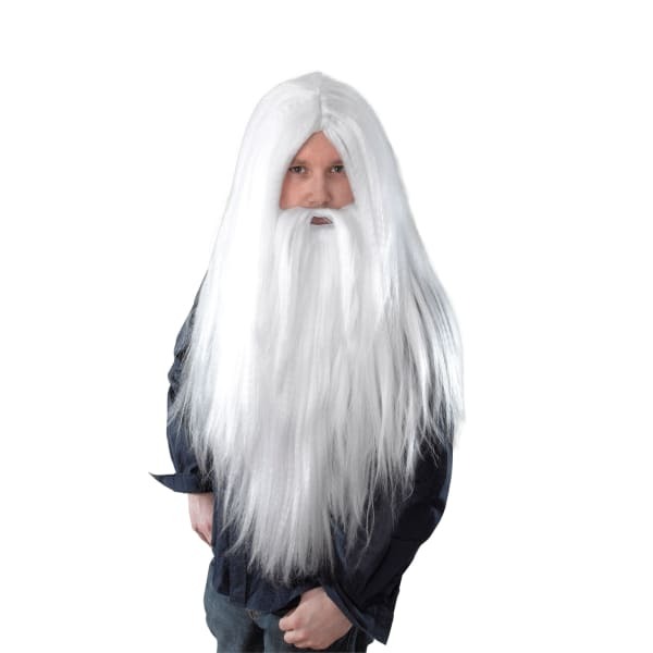 Bristol Novelty Mens Long Wizard Wig And Beard