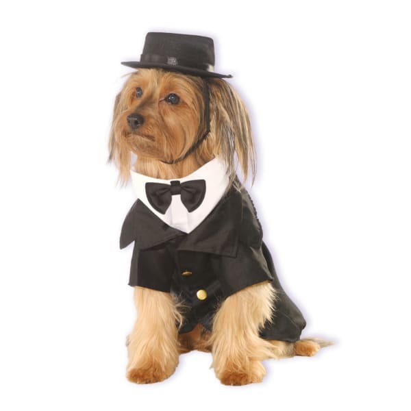 Bristol Novelty Dapper Dog Costume (XL)