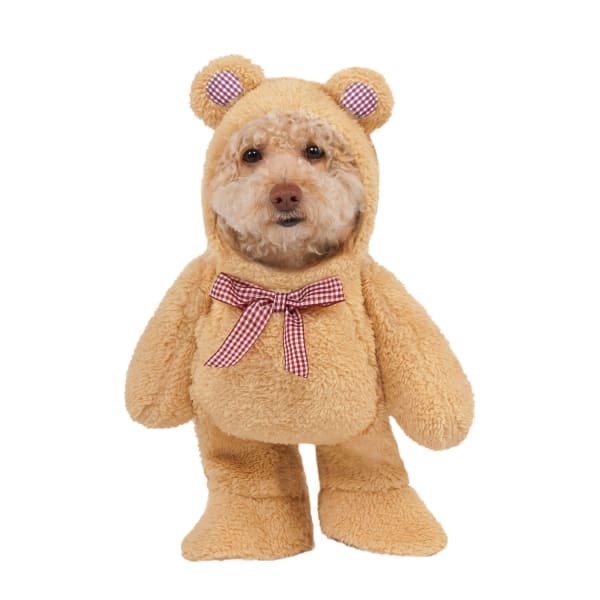 Bristol Novelty Teddy Bear Walking Dog Costume (XS)