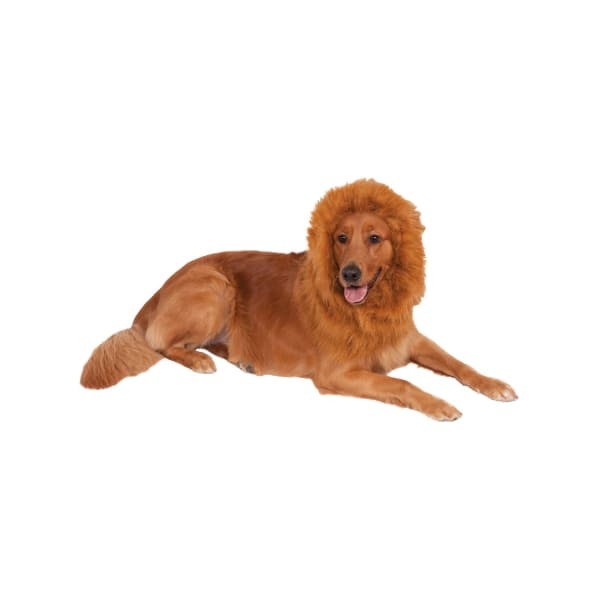 Bristol Novelty Lion´s Mane Dog Costume