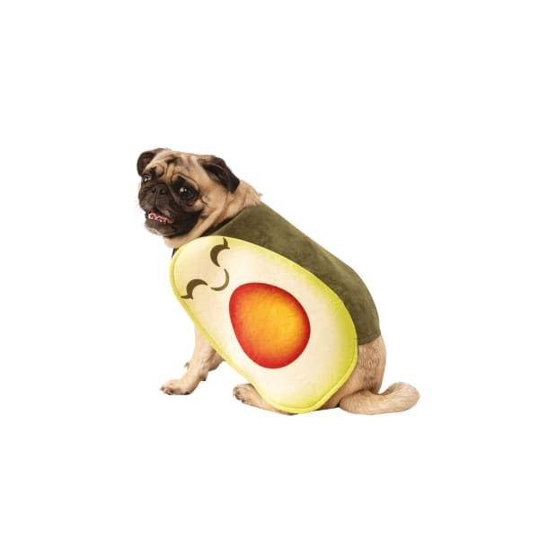 Bristol Novelty Avocado Dog Costume (M-20in)