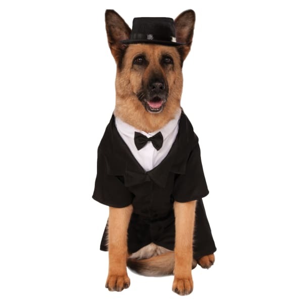 Bristol Novelty Tuxedo Dog Costume (3XL)