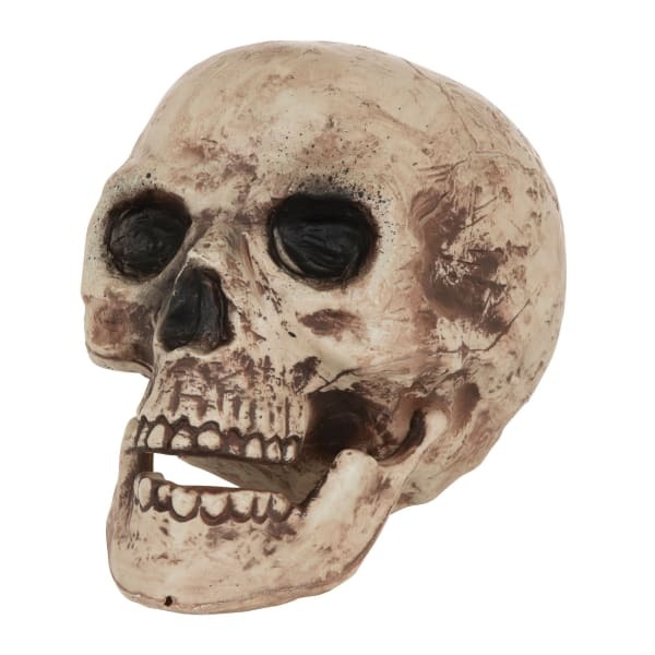 Bristol Novelty Skull Decoration