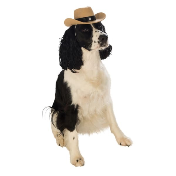 Bristol Novelty Cowboy Hat Dog Costume (S-M)