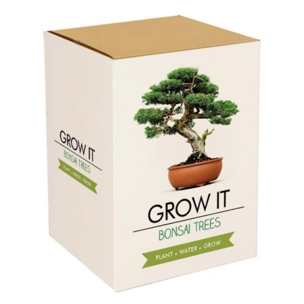 Prezzybox Grow Your Own Bonsai Tree