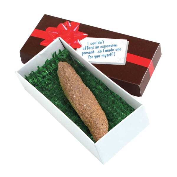 Bristol Novelty Turd In Grass Joke Present