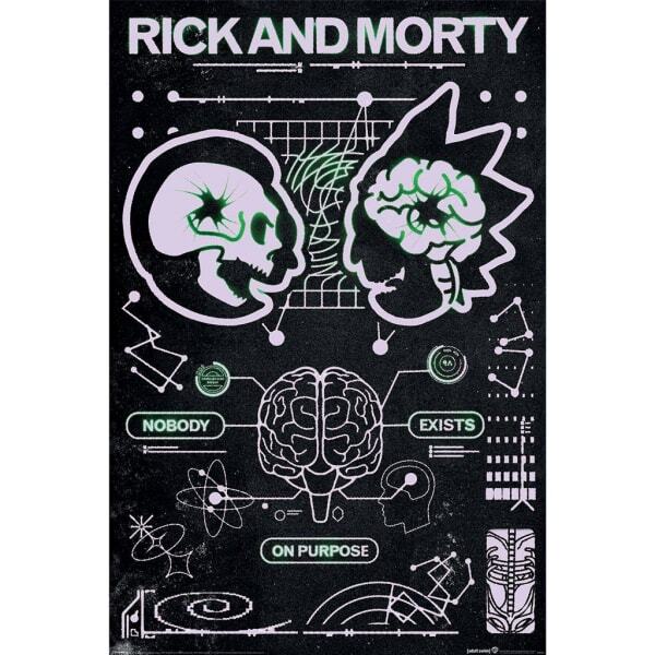 Rick And Morty Classrickal Maxi Poster (91.5cm x 61cm)