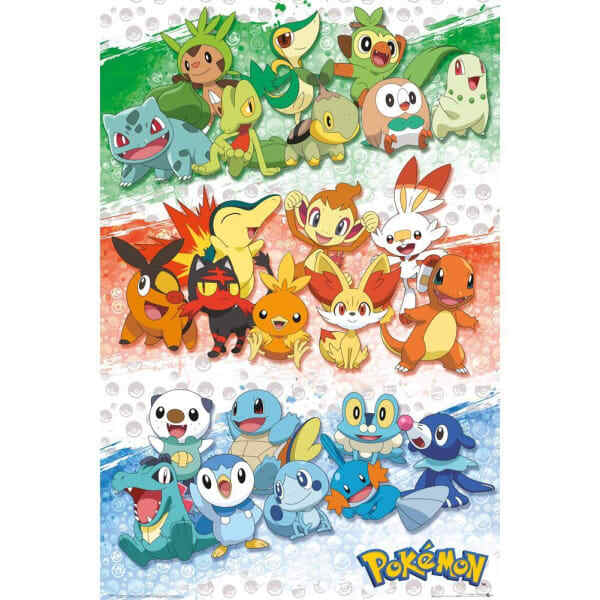 Pokemon Poster (91cm x 61cm)