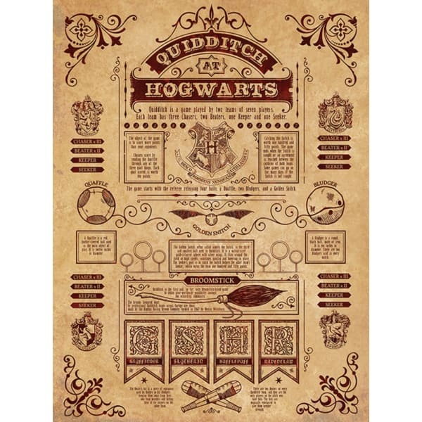 Harry Potter Quidditch Canvas Print (80cm x 60cm)