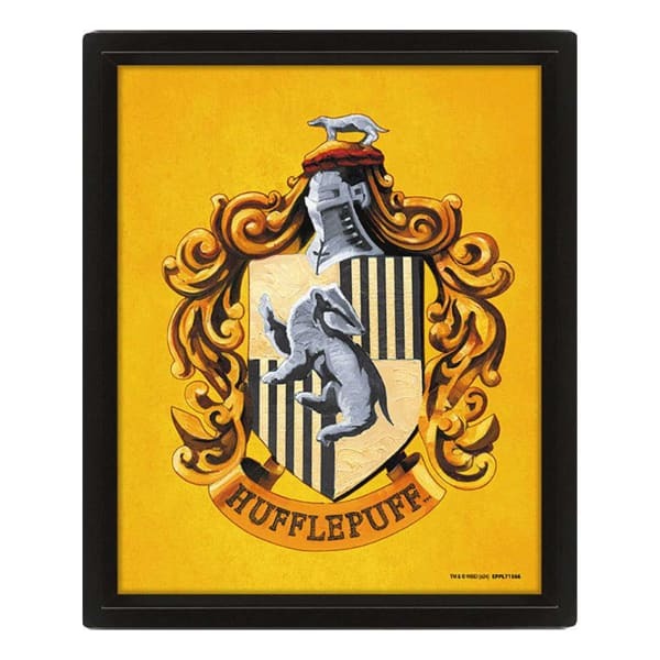 Harry Potter Hufflepuff 3D Framed Picture (25cm x 20cm)