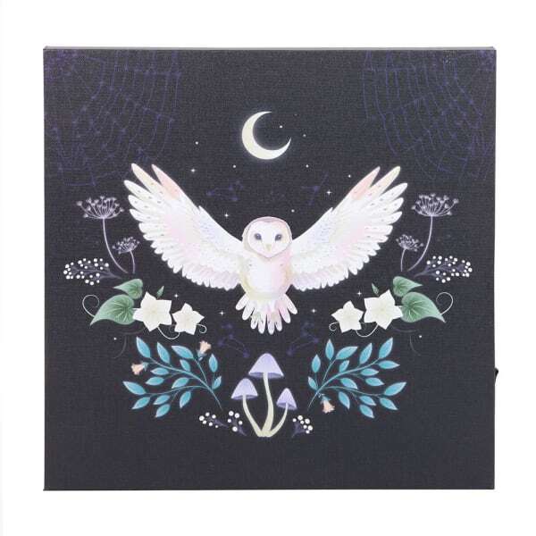 Something Different Night Owl Light Up Canvas