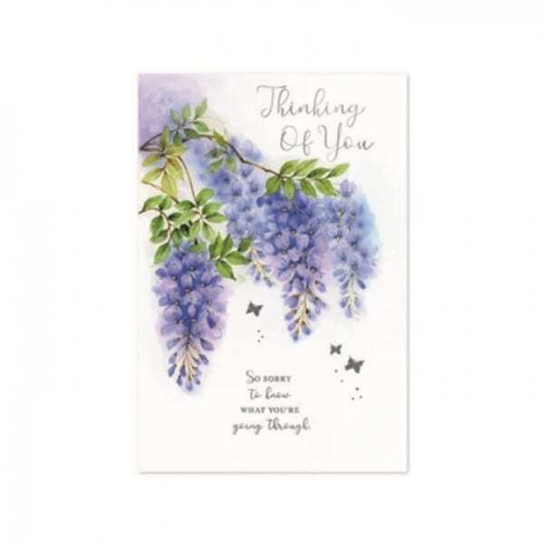 Simon Elvin Thinking Of You Sympathy Card (Pack of 6)