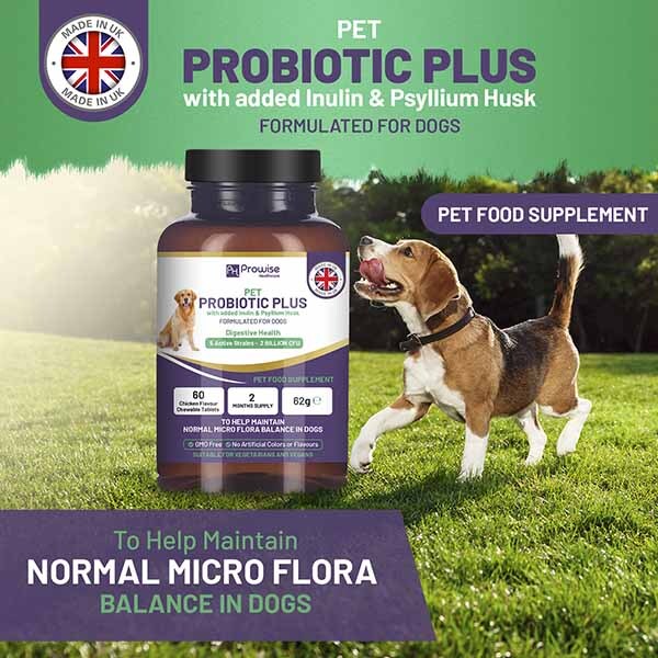 Prowise Pet Probiotic Plus with 5 Active Strains 60 Tablets