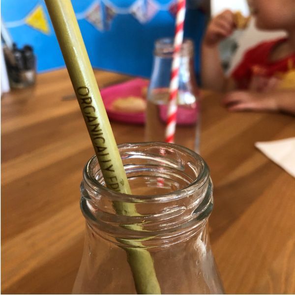 Organically Epic Bamboo Straws x 6