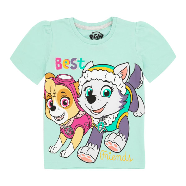 Paw Patrol Kids Skye & Everest Short Pyjama Set (2-3 Years)