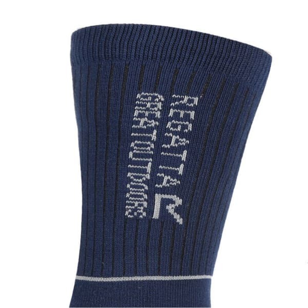 Regatta Mens Samaris 2 Season Socks (Pack of 2) (9-12)