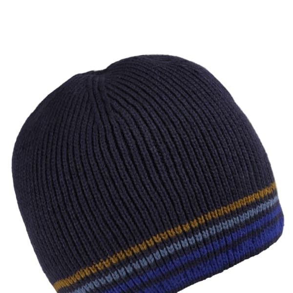 Regatta Mens Balton IV Striped Beanie