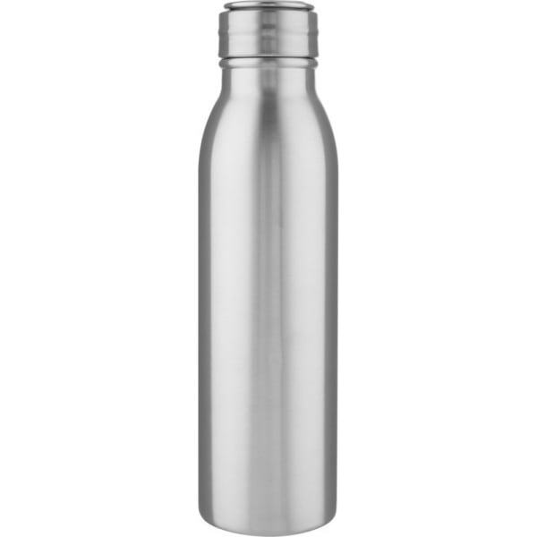 Harper Stainless Steel 700ml Water Bottle