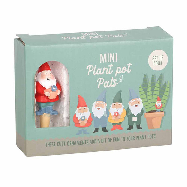 Prezzybox Set Of 4 Mini Gnome Plant Pot Pals