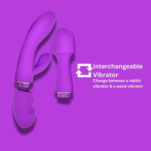 Loving Joy DUA Interchangeable Vibrator with 2 Attachments