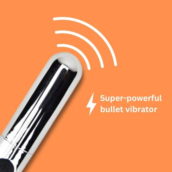 Loving Joy 10 Function Rechargeable Bullet Vibrator Silver