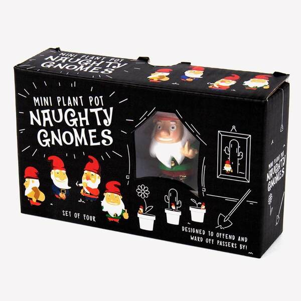 Prezzybox Naughty Mini Gnomes