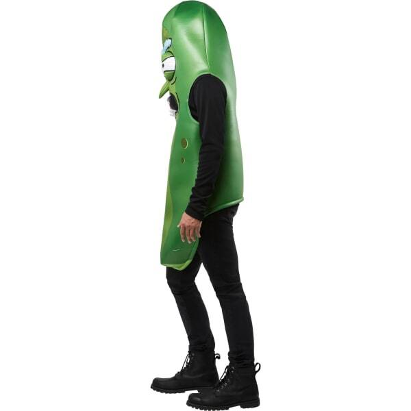 Rick And Morty Adult Pickle Rick Costume (Standard)