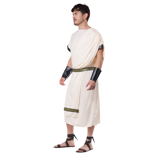 California Costumes Men's Deluxe Classic Toga One size