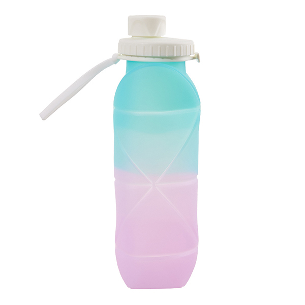 Livingandhome Collapsible Water Bottle - Blue and Purple