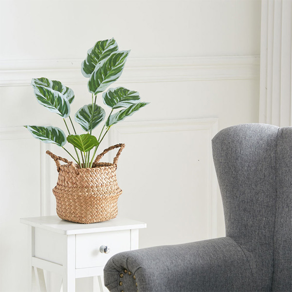 Livingandhome Potted Artificial Calathea White Fusion