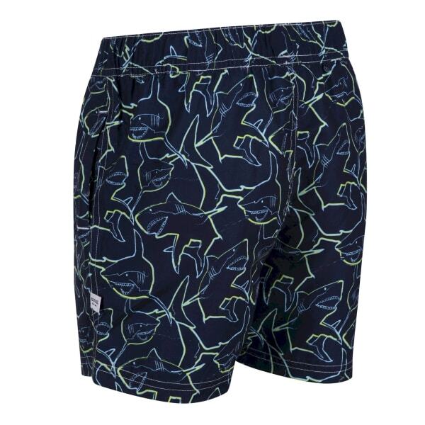 Regatta Boys Skander II Shark Swim Shorts (15-16 Years)