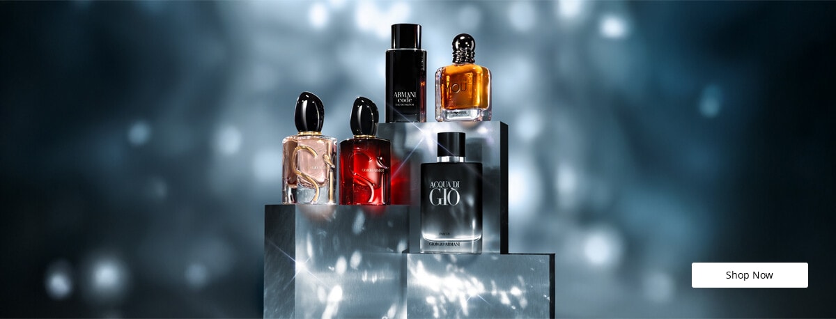 e1125_L_frag_armani-xmas.jpg e1125_L_frag_armani-xmas.jpg