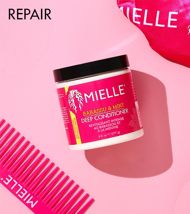 e1324_grid_mielle_repair