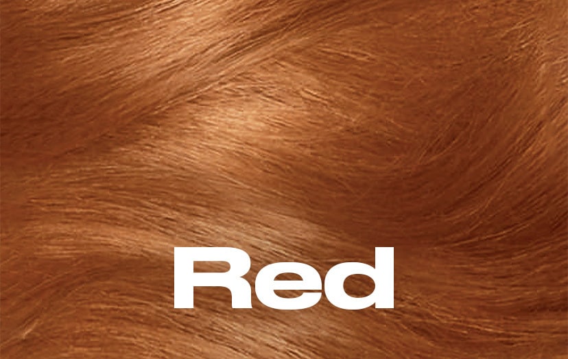 e0824_grid_clariol_red