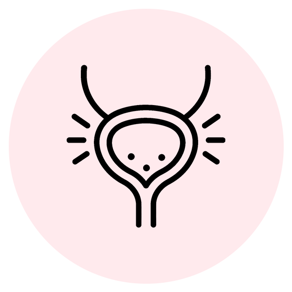 cysititis-cat-WH