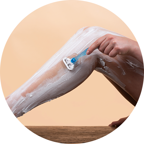 cat-shaving cat-shaving