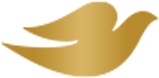 Logo_Dove_colour.png Logo_Dove_colour.png