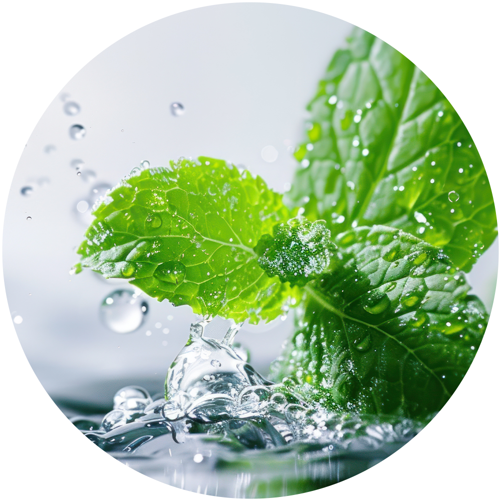 e0526_shop-by-scent_Fresh