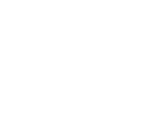 B-skin-logo.png