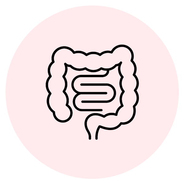 Gut & Digestion gut-and-digestion.png