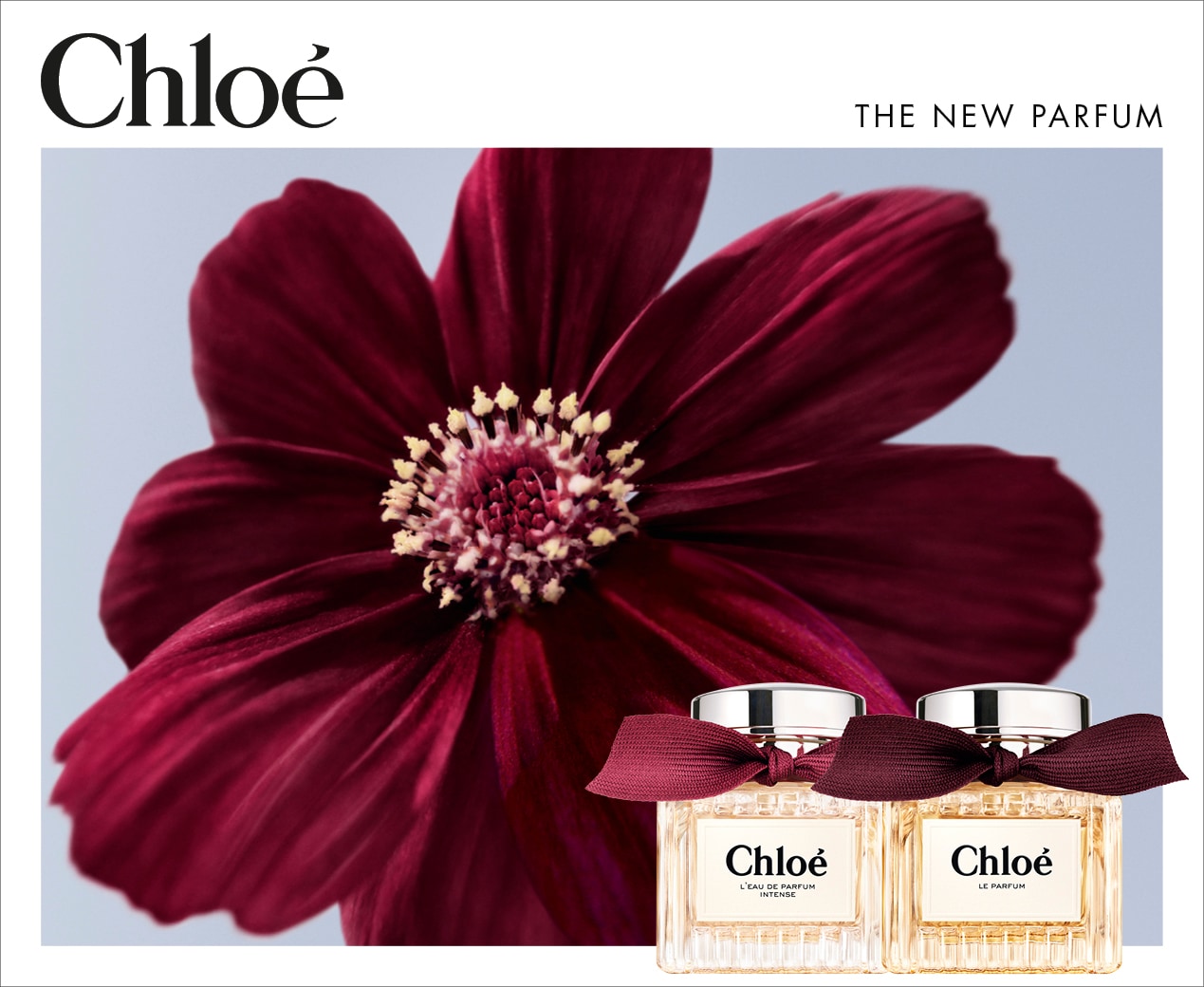 e0826_M_Premium_Chloe.jpg e0826_M_Premium_Chloe.jpg