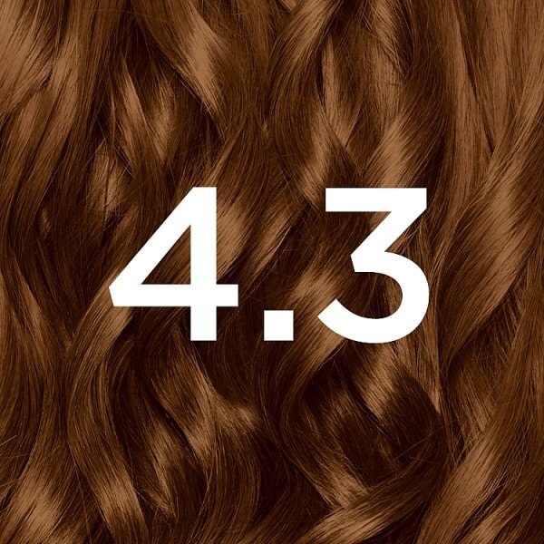 Garnier Nutrisse 4.3 Dark Golden Brown Permanent Hair Dye