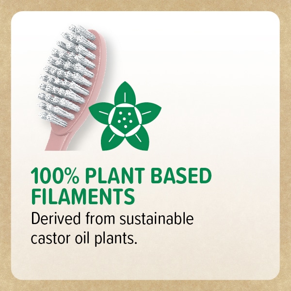 DNR Wisdom re:new Clean Medium Toothbrush Twin Pack