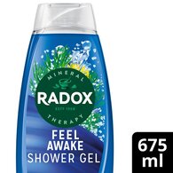 Radox Feel Awake 2-in-1 Shower Gel & Shampoo 675 ml