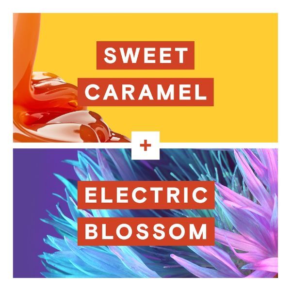 Impulse Sweet Caramel + Electric Blossom Body Mist 150ml
