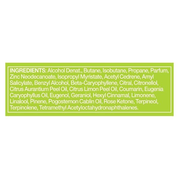 Lynx Deodorant Bodyspray Aerosol Epic Fresh 150ml