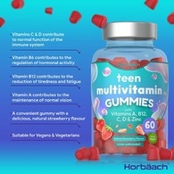 Teen Multi Vegan Gummies B Vits, Vit A, C & D, Biotin, Zinc 