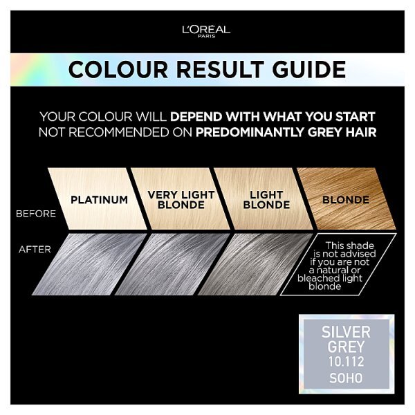 Preference Vivids (Colorista) Hair Dye Silver Grey 10.11