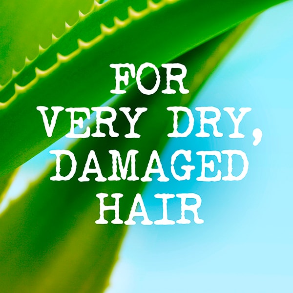 Maui Moisture Revive & Hydrate+ Shea Butter Hair Mask 340g