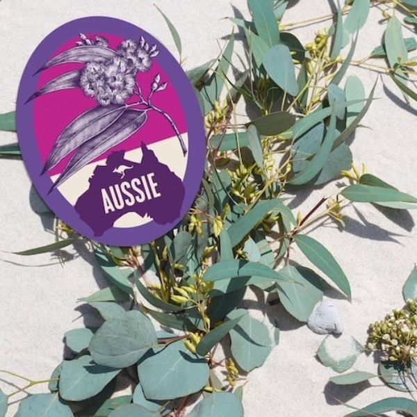 Aussie Mega Hair Conditioner For Everyday Conditioning 350ml